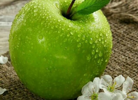 تصویر 4 از خرید و قیمت سیب سبز لبنانی + فروش صادراتی