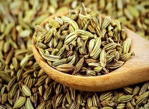 تصویر 1 از خرید و قیمت زیره سبز تازه + فروش عمده