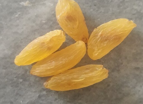 تصویر 4 از قیمت خرید کشمش تیزابی طلایی + فروش ویژه