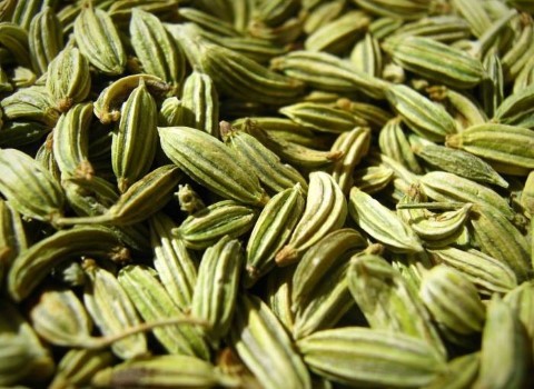 تصویر 4 از خرید زیره سبز صادراتی + قیمت فروش استثنایی