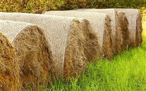 تصویر 1 از قیمت کاه خوراک دام + خرید باور نکردنی
