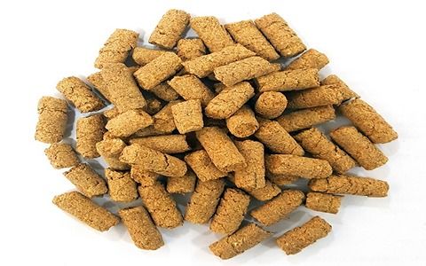 تصویر 4 از خرید خوراک کنسانتره گوسفندی + قیمت فروش استثنایی