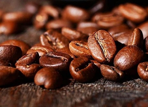 تصویر 1 از خرید و قیمت قهوه 100درصد عربیکا + فروش عمده
