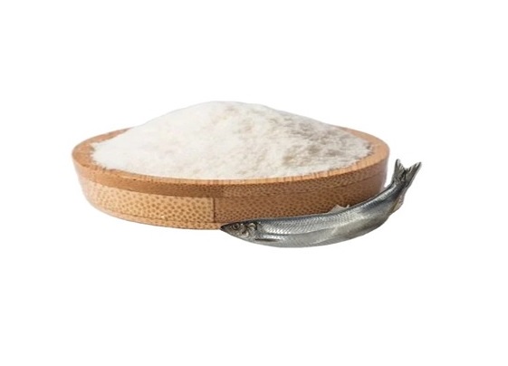خرید پودر ماهی خشک + قیمت فروش استثنایی