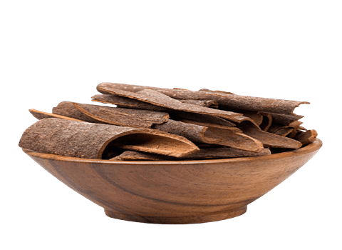 تصویر 4 از فروش دارو گیاهی دارچین + قیمت خرید به صرفه