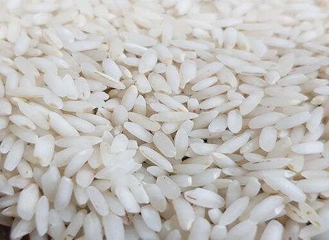 تصویر 4 از خرید برنج چمپا شوشتر + قیمت فروش استثنایی