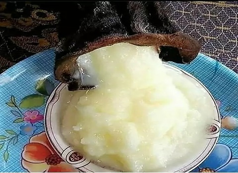 تصویر 1 از خرید و قیمت روغن حیوانی گوسفندی + فروش عمده