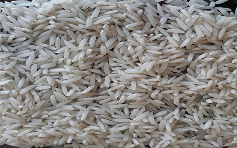 تصویر 3 از قیمت خرید برنج چمپا محلی با فروش عمده