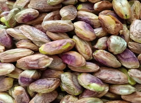 تصویر 4 از خرید مغز پسته اکبری عمده + قیمت فروش استثنایی