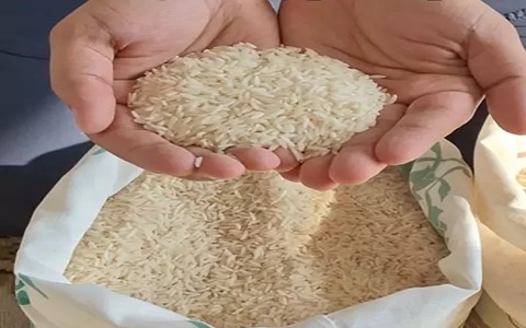 فروش برنج طارم هاشمی اعلا + قیمت خرید به صرفه