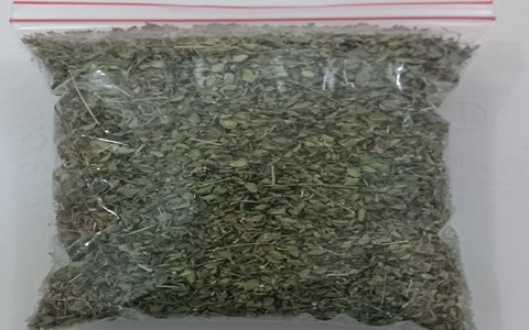 تصویر 4 از فروش آویشن کوهی اردبیل + قیمت خرید به صرفه