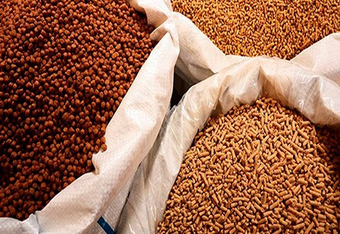 تصویر 4 از قیمت خرید غذای گرانولی ماهی عمده به صرفه و ارزان