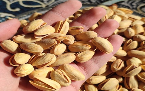 تصویر 1 از خرید پسته شور زعفرانی + قیمت فروش استثنایی