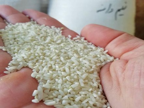 تصویر 3 از قیمت برنج نیم دانه عنبر بو + خرید باور نکردنی