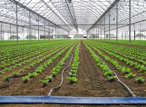 قیمت خرید نوار تیپ آبیاری زیر سطحی با فروش عمده