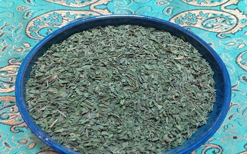 تصویر 1 از فروش گیاه دارویی نعناع + قیمت خرید به صرفه