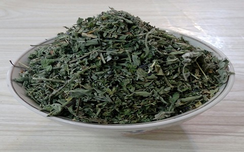 تصویر 3 از فروش گیاه دارویی پونه + قیمت خرید به صرفه