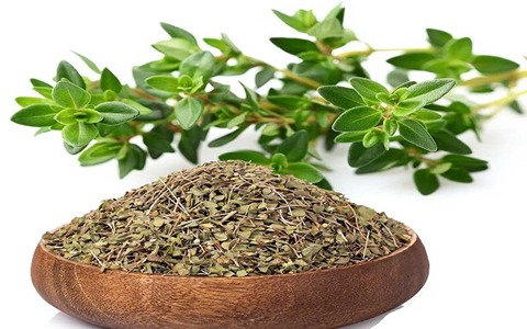 تصویر 4 از فروش گیاه دارویی آویشن شیرازی + قیمت خرید به صرفه