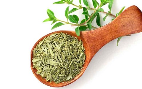 تصویر 3 از فروش آویشن باغی خشک + قیمت خرید به صرفه