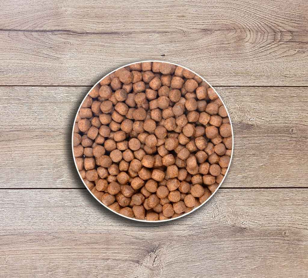 تصویر 2 از قیمت غذا ماهی آکواریومی + خرید باور نکردنی