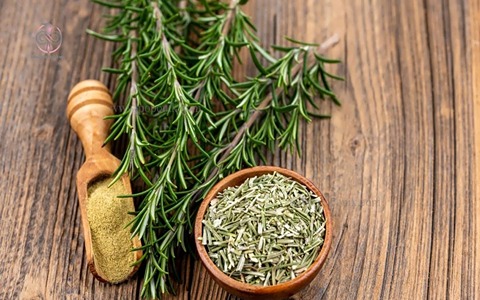 تصویر 4 از فروش گیاه دارویی رزماری + قیمت خرید به صرفه