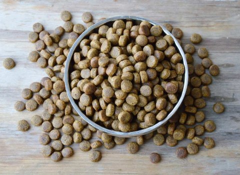 تصویر 2 از خرید و فروش غذا ماهی قرمز با شرایط فوق العاده