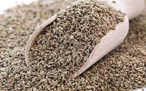 تصویر 2 از فروش گیاه دارویی زنیان + قیمت خرید به صرفه