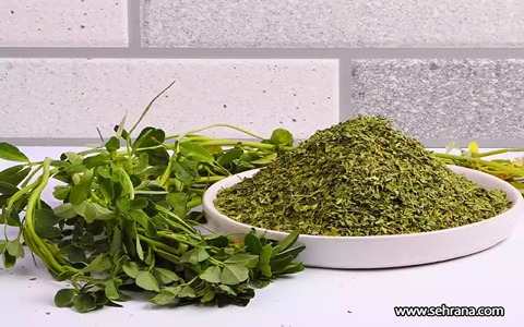 تصویر 4 از فروش گیاه داروی شنبلیله + قیمت خرید به صرفه