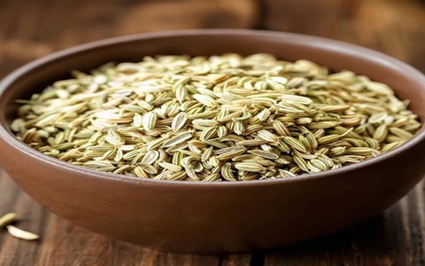تصویر 1 از فروش گیاه دارویی زیره سبز + قیمت خرید به صرفه