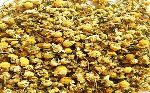 تصویر 4 از فروش گیاه بابونه خشک + قیمت خرید به صرفه