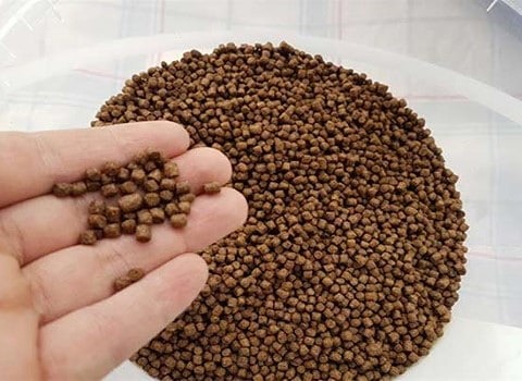 تصویر 3 از فروش غذای ماهی پولکی + قیمت خرید به صرفه