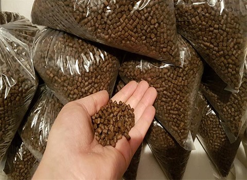 تصویر 2 از قیمت خرید غذای ماهی انرژی + فروش ویژه