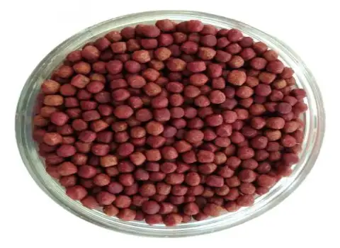 تصویر 1 از قیمت غذای ماهی بیومار + خرید باور نکردنی