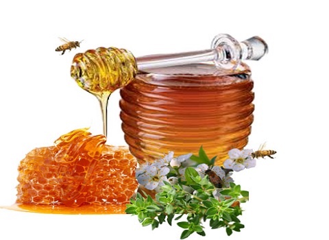 تصویر 3 از خرید عسل آویشن ارگانیک + قیمت فروش استثنایی