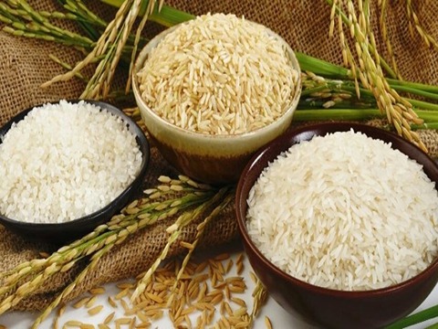 تصویر 4 از قیمت خرید برنج عنبر بو مجلسی + فروش ویژه