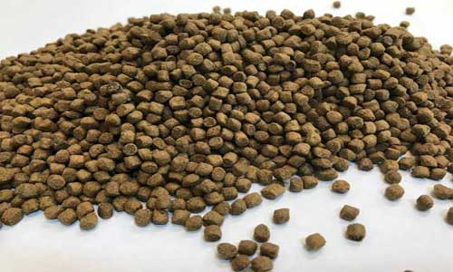تصویر 1 از فروش غذای ماهی کپور پرورشی + قیمت خرید به صرفه