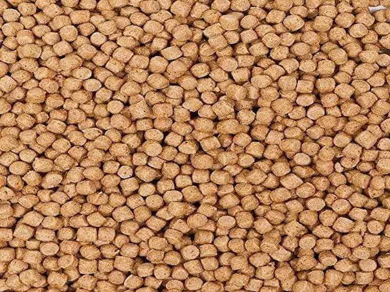 تصویر 1 از قیمت غذای ماهی کوی با کیفیت ارزان + خرید عمده