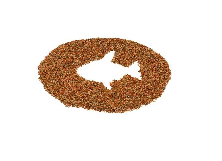 تصویر 2 از خرید و قیمت غذای ماهی زینتی + فروش صادراتی