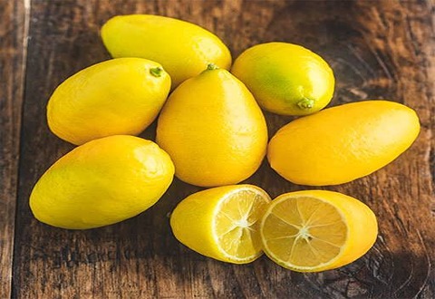 تصویر 4 از خرید لیمو ترش مازندران + قیمت فروش استثنایی