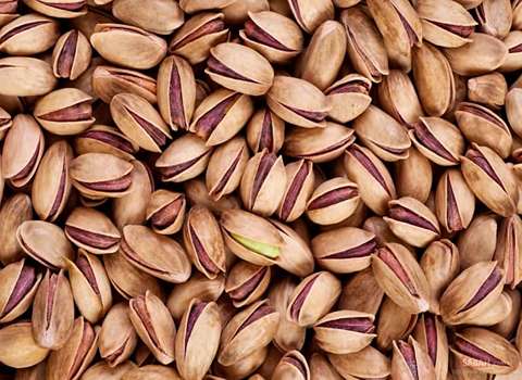 تصویر 3 از خرید و قیمت پسته اکبری انس ۲۲ + فروش صادراتی
