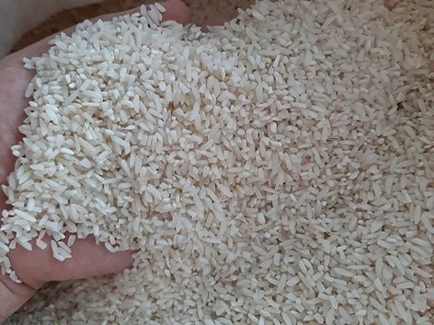 تصویر 1 از قیمت برنج نیم دانه عنبر بو با کیفیت ارزان + خرید عمده