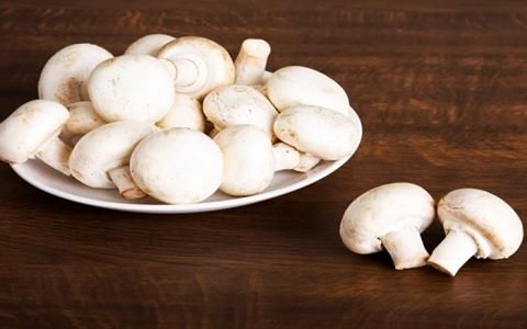 تصویر 1 از خرید و قیمت قارچ دکمه ای فله + فروش صادراتی