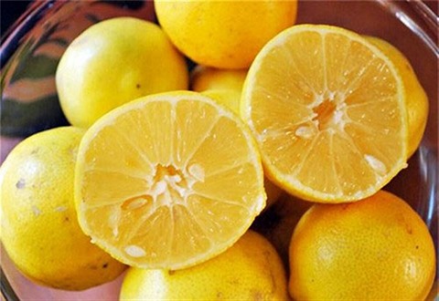 تصویر 2 از فروش لیمو ترش لایم کوات + قیمت خرید به صرفه
