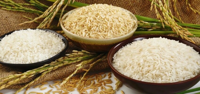 تصویر 1 از قیمت خرید برنج چمپا خوزستان + فروش ویژه