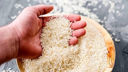 تصویر 2 از قیمت خرید برنج کامفیروز شیراز + فروش ویژه