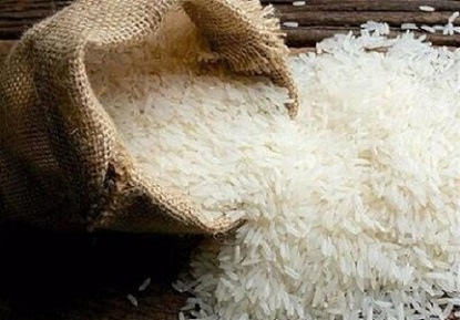 تصویر 3 از قیمت خرید برنج کامفیروز شمالی + فروش ویژه