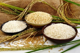 تصویر 2 از قیمت خرید برنج کامفیروز شمالی + فروش ویژه