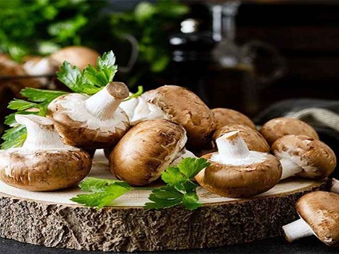 تصویر 3 از خرید و فروش قارچ دکمه ای قهوه ای با شرایط فوق العاده