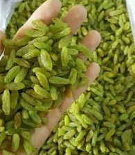 تصویر 3 از فروش کشمش سبز قلمی ممتاز + قیمت خرید به صرفه