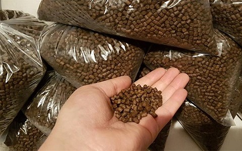 تصویر 3 از قیمت خرید غذای ماهی کپور در استخر بتنی + فروش ویژه